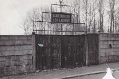 cal_pa_1953_02_11_01